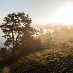 henrik_trygg-grinda-4144