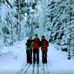 Snowy trees on ski tour