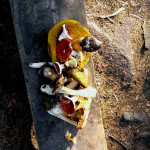 wild mushrooms picking