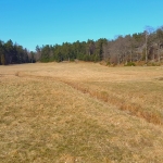 Stockholm's countryside tour