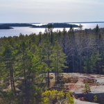 view