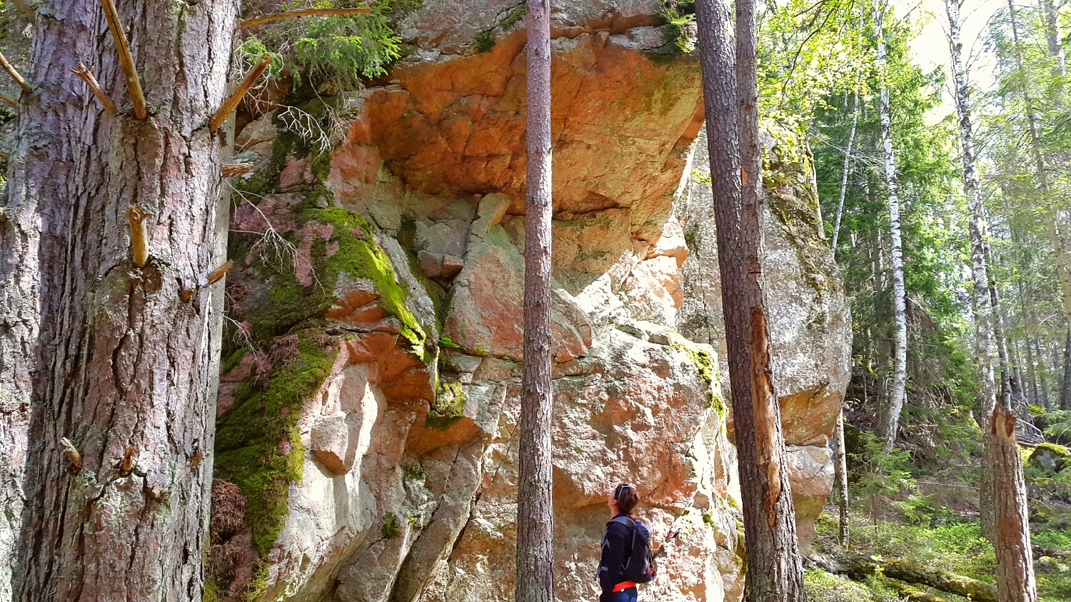 Hike Stockholm nature, 1 day