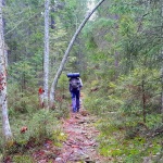 hiking trail high coast sweden