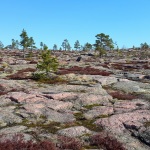 hike sweden