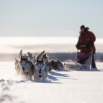 fredrik_broman-dog_sledding-3789-1