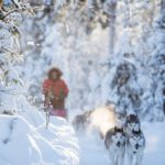 fredrik_broman-dog_sledding-3784