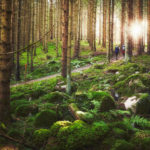 patrik_svedberg-hiking_in_the_forest-6428