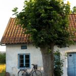 elisabeth_edén-swedish_countryside-4562