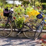 henrik_trygg-biking-4114
