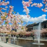 lola_akinmade_åkerström-cherry_bloom_in_stockholm-5241