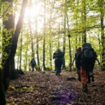 apelöga-hiking_in_the_forest-6137