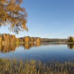 rikard_lagerberg-autumn_leaves-6716