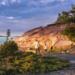 13937980_941986675923520_4239849334596901109_o