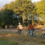 GREEN TRAILS BIKE SAFARI 2024 - PIERRE MANGEZ 070243-010117