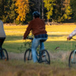 GREEN TRAILS BIKE SAFARI 2024 - PIERRE MANGEZ 070251-010117