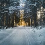 simon--O8r5oLosYo-unsplash