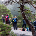 henrik_trygg-hiking-4132